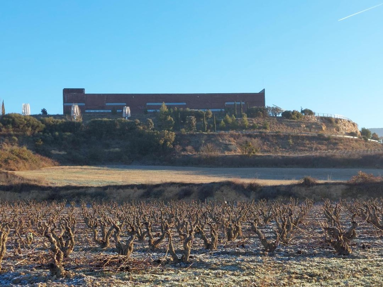 Día del Club; Ruta, visita a Bodega y comida de hermandad