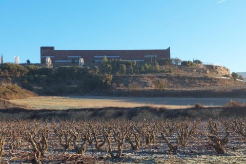Día del Club; Ruta, visita a Bodega y comida de hermandad