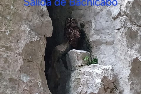 Bachicabo. Circular / Zirkularra (1200m)