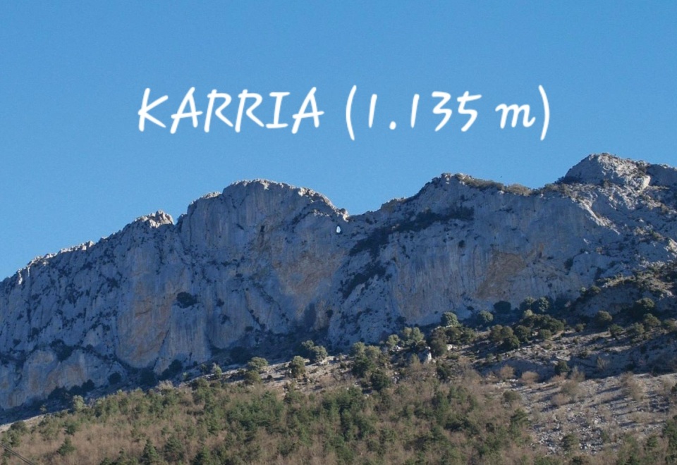 C. M. PEÑA KARRIA