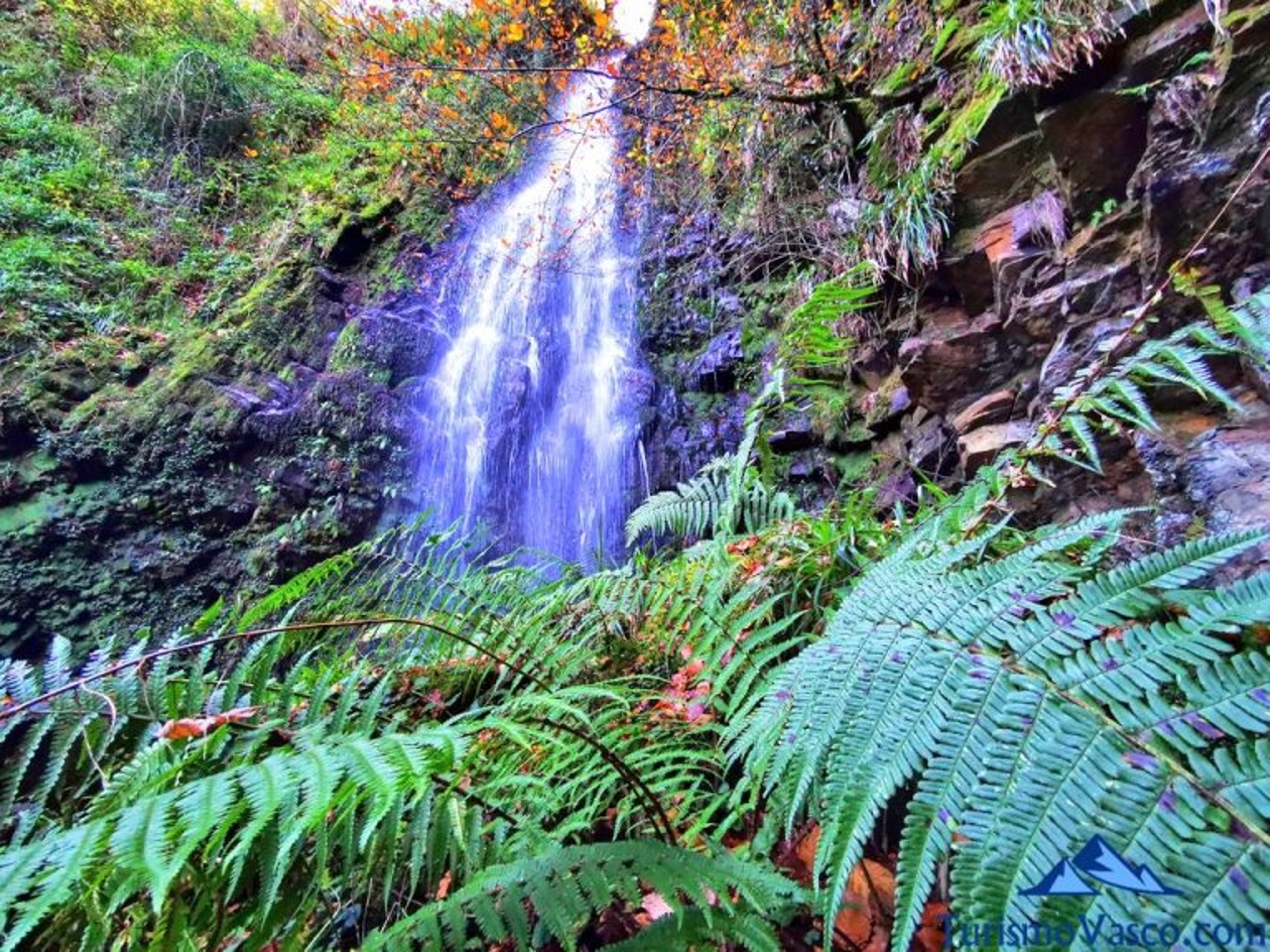 Cascada y hayedo de Belaustegi - Oderiaga (1244 m.)
