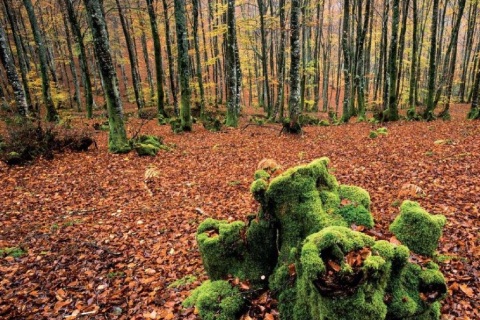 Burbonas (934m) desde Parketxe Sarria